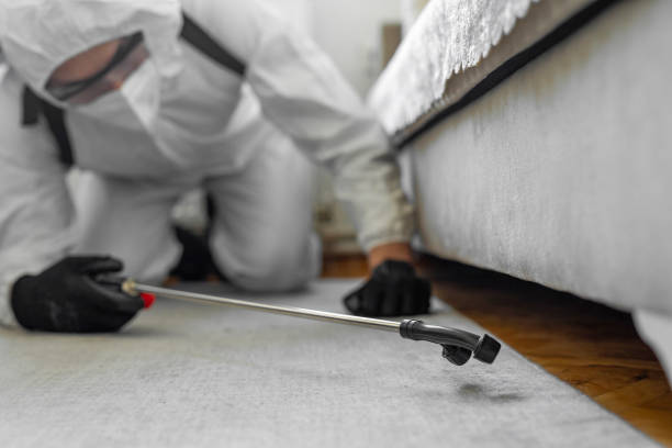 Professional Termite Control technician working in Bella Vista, CA