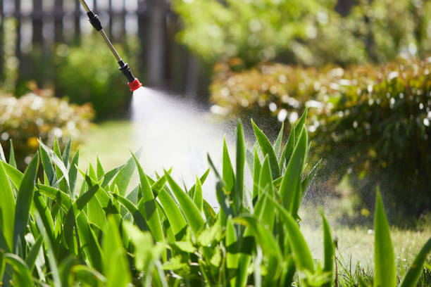 24/7 Emergency Termite Control experts in Bella Vista, CA