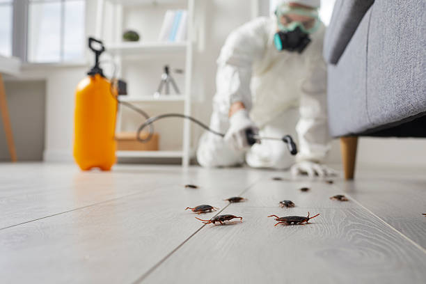 Trusted Fumigation Services service in Bella Vista, CA - Nex Pest Control