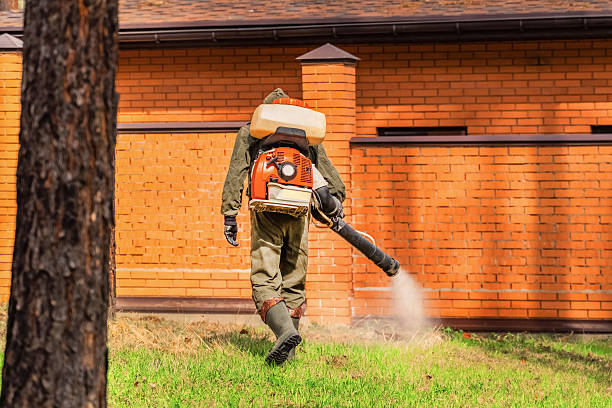 Trusted Emergency Pest Control service in Bella Vista, CA - Nex Pest Control